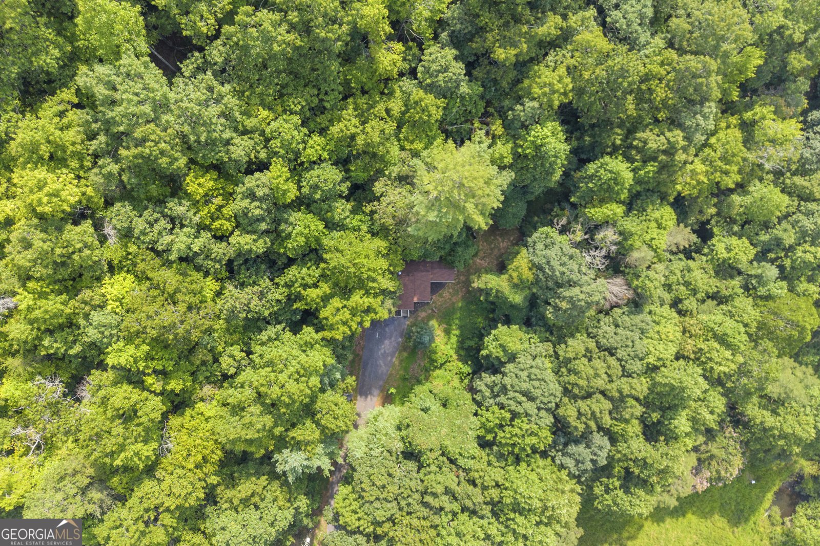 549 Travaden Trail Hiawassee - Photo 41