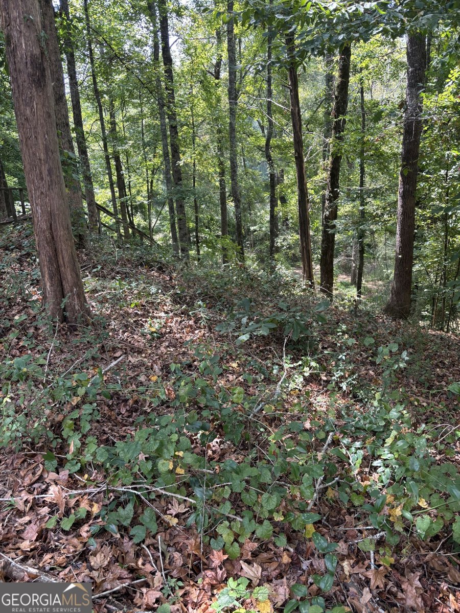 1320 Barnett Ridge Athens - Photo 35