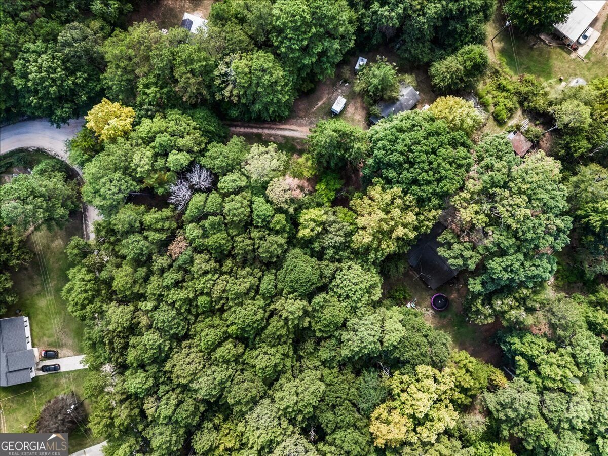 85 Andrew Road Covington - Photo 46