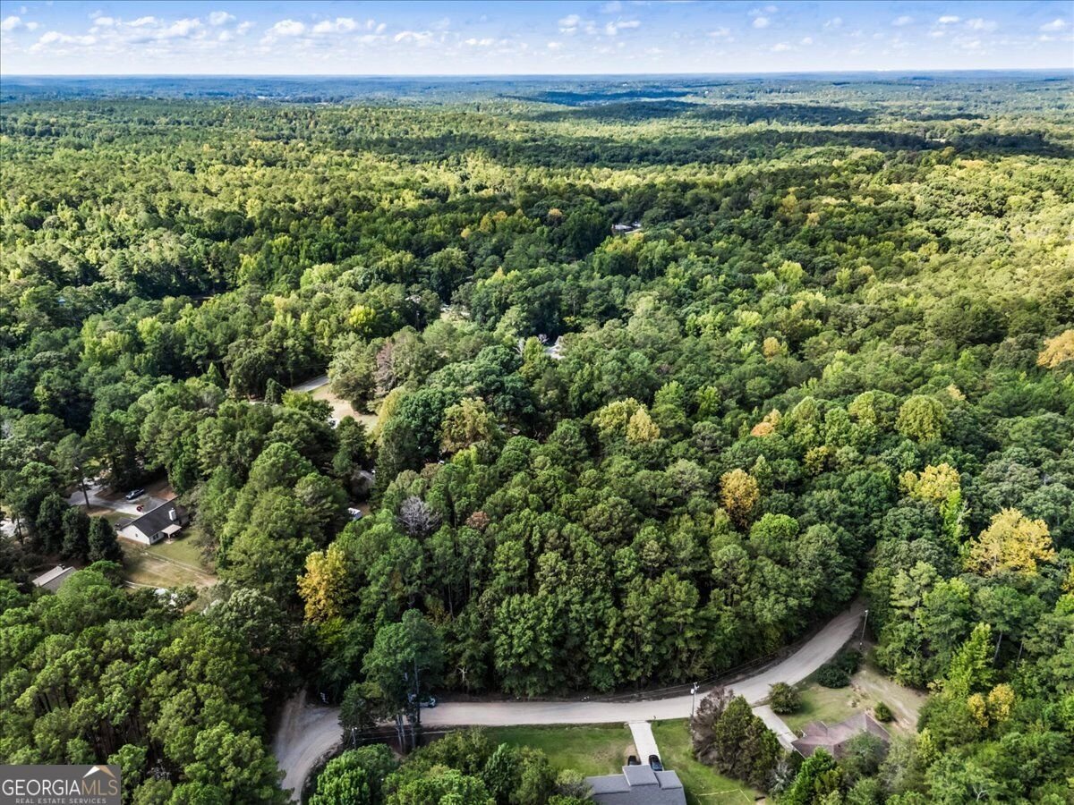 85 Andrew Road Covington - Photo 47