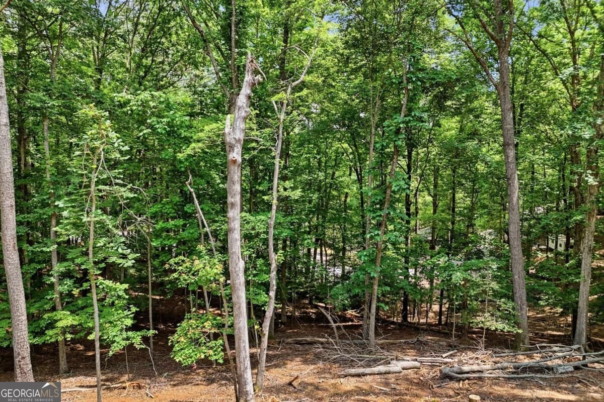 1883 Newport Drive Ellijay - Photo 40