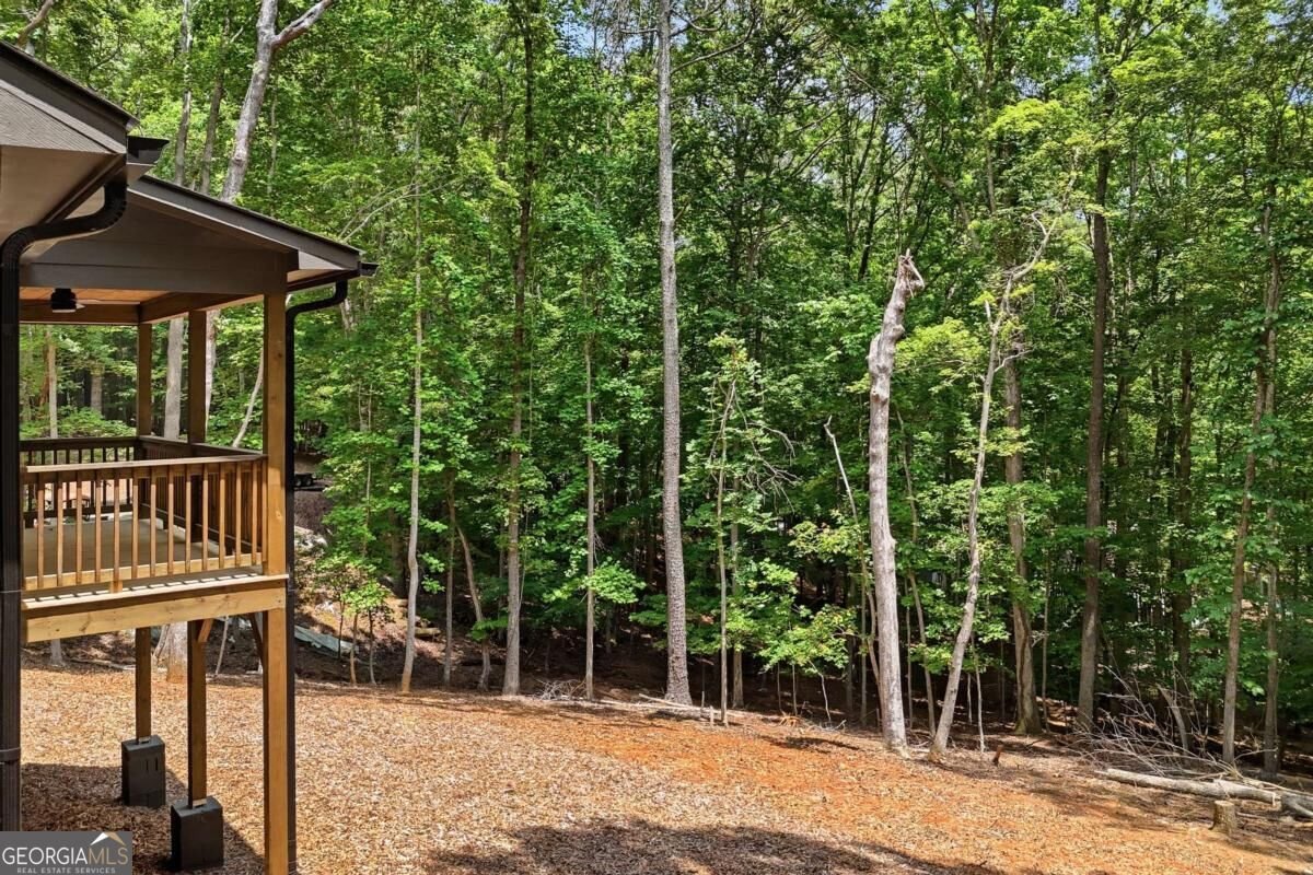 1883 Newport Drive Ellijay - Photo 42