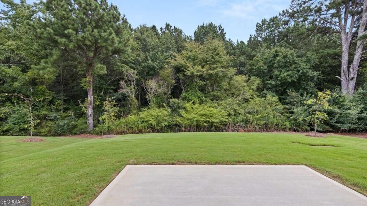 53 Weymouth Drive Locust Grove - Photo 17
