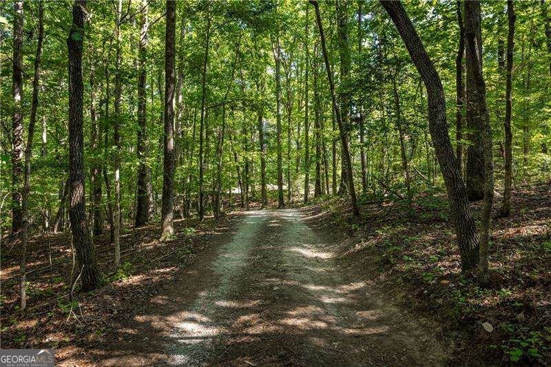 2339 Salem Church Road Jasper - Photo 26