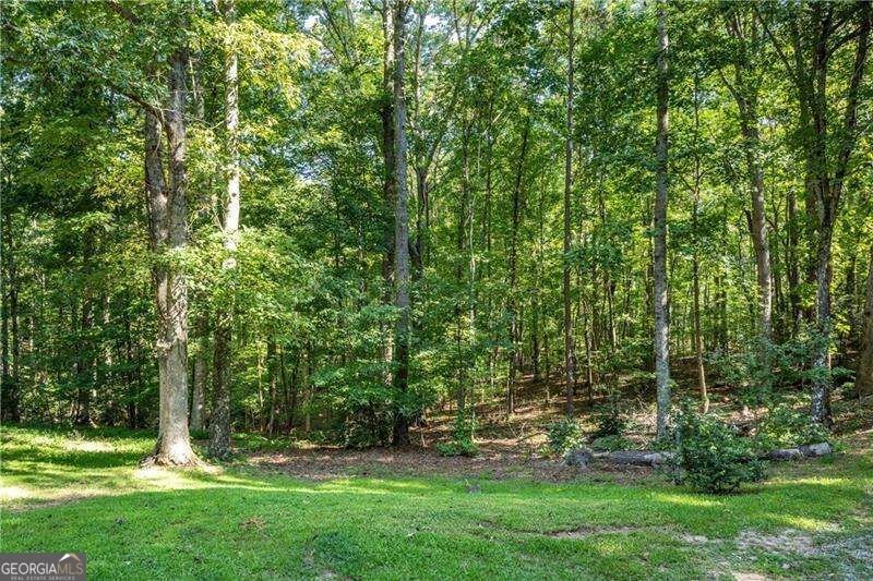 2339 Salem Church Road Jasper - Photo 27