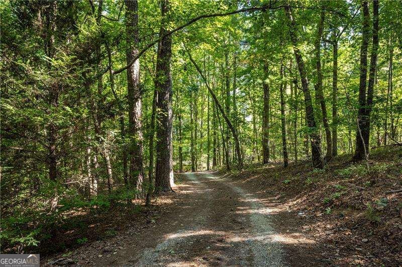 2339 Salem Church Road Jasper - Photo 28