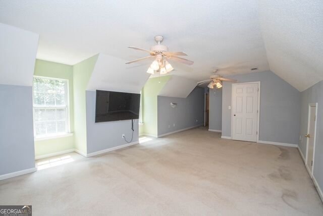 90 Teal Court Senoia - Photo 25