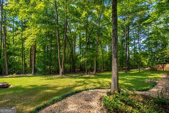 90 Teal Court Senoia - Photo 34