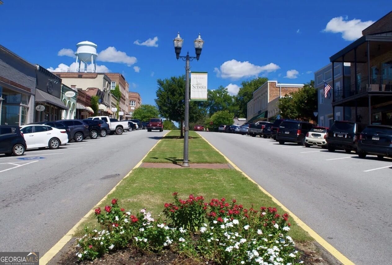 90 Teal Court Senoia - Photo 36