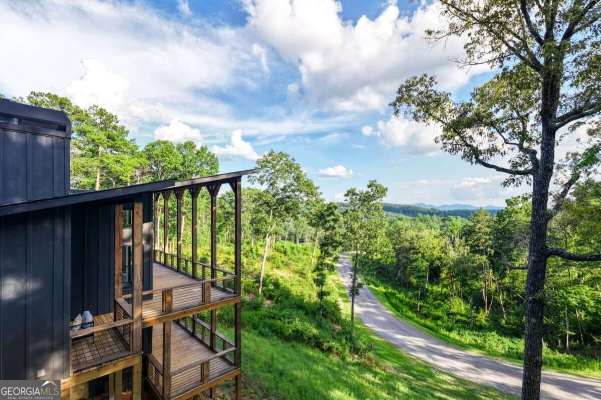 386 Mountain Laurel Ridge Mineral Bluff - main photo