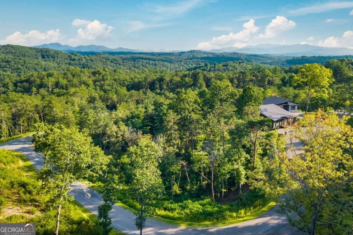 386 Mountain Laurel Ridge Mineral Bluff - Photo 19