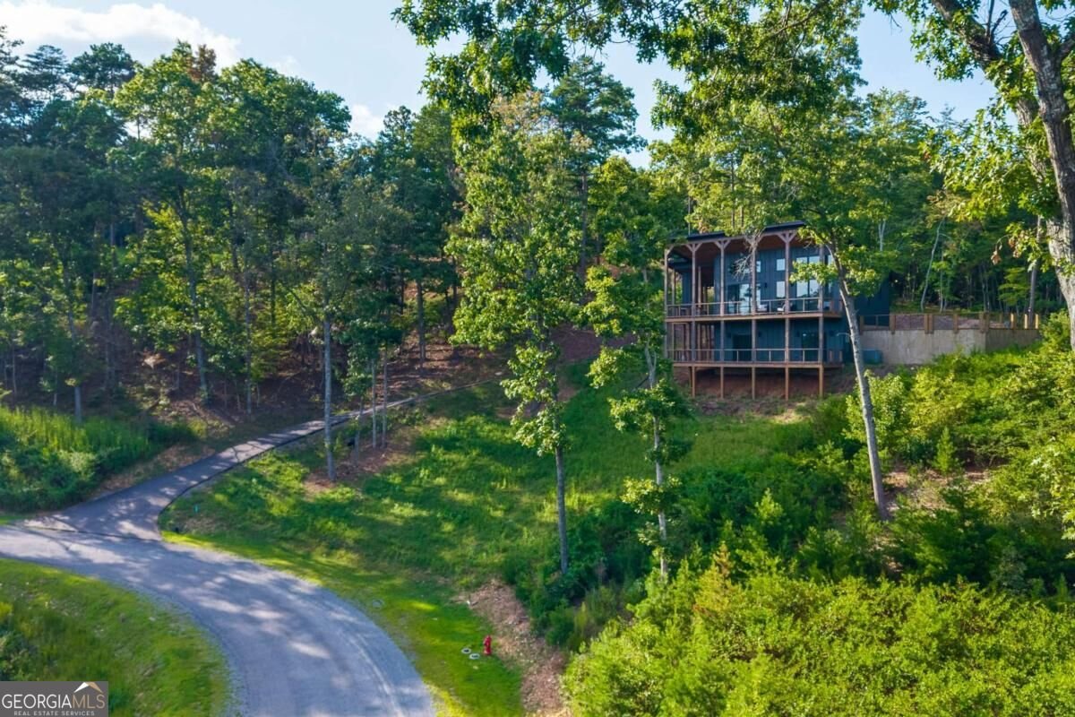 386 Mountain Laurel Ridge Mineral Bluff - Photo 34