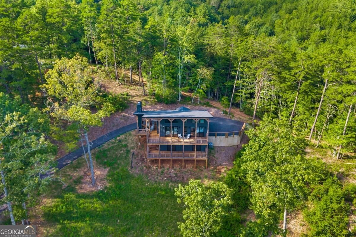 386 Mountain Laurel Ridge Mineral Bluff - Photo 35
