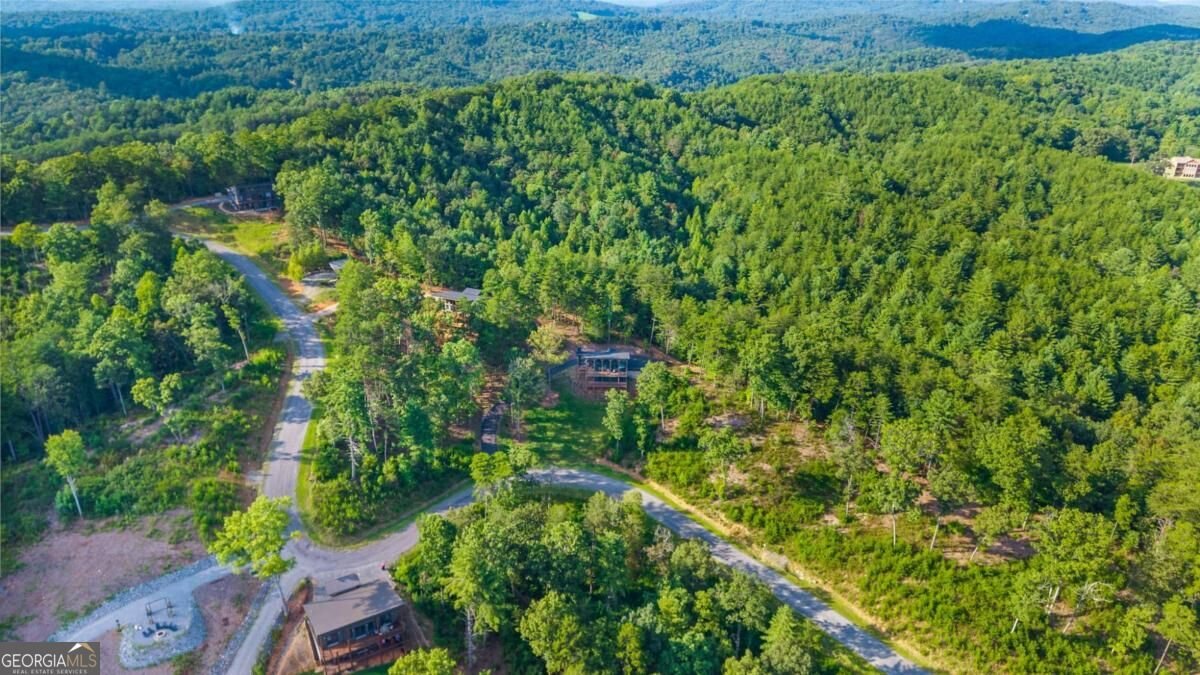 386 Mountain Laurel Ridge Mineral Bluff - Photo 36