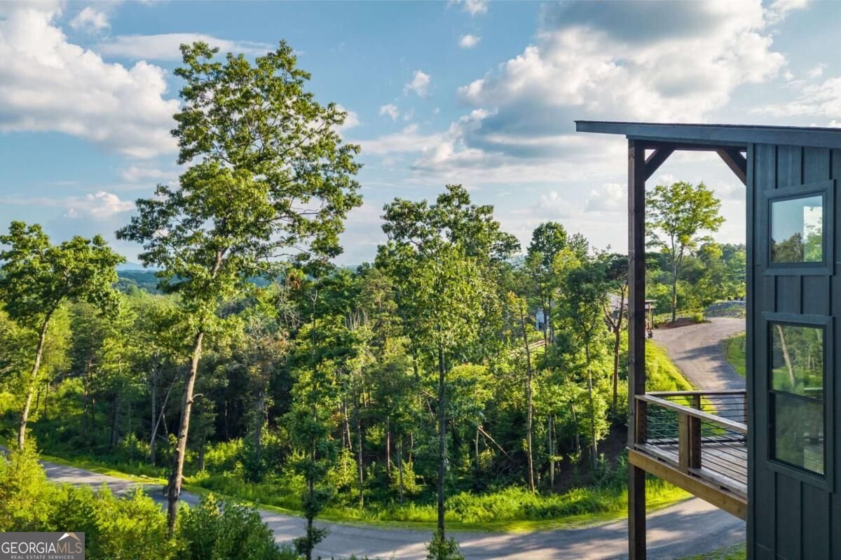 386 Mountain Laurel Ridge Mineral Bluff - Photo 38