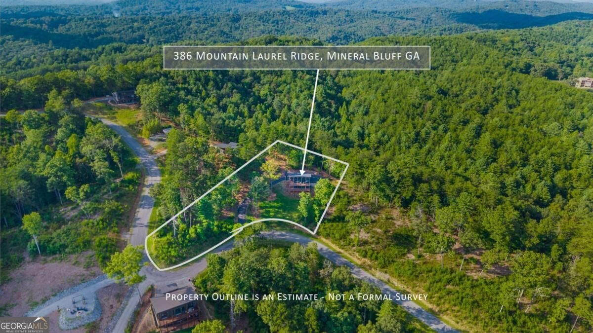 386 Mountain Laurel Ridge Mineral Bluff - Photo 6