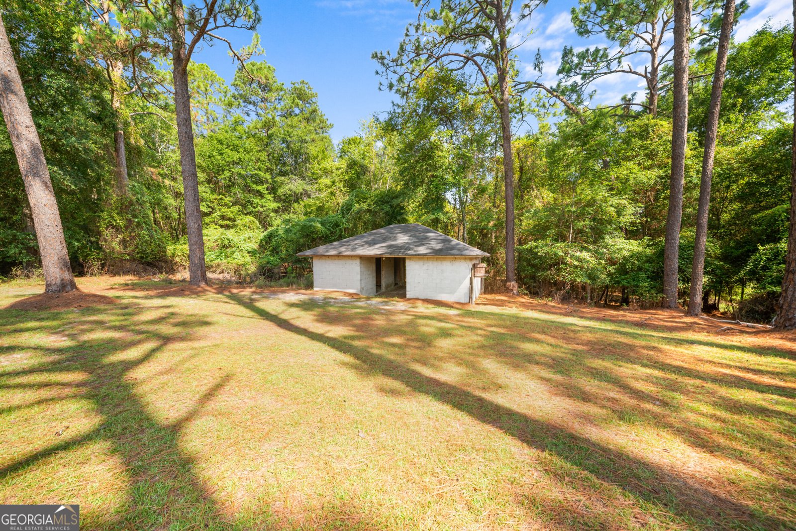 315 Cork Pond Road Sylvania - Photo 38