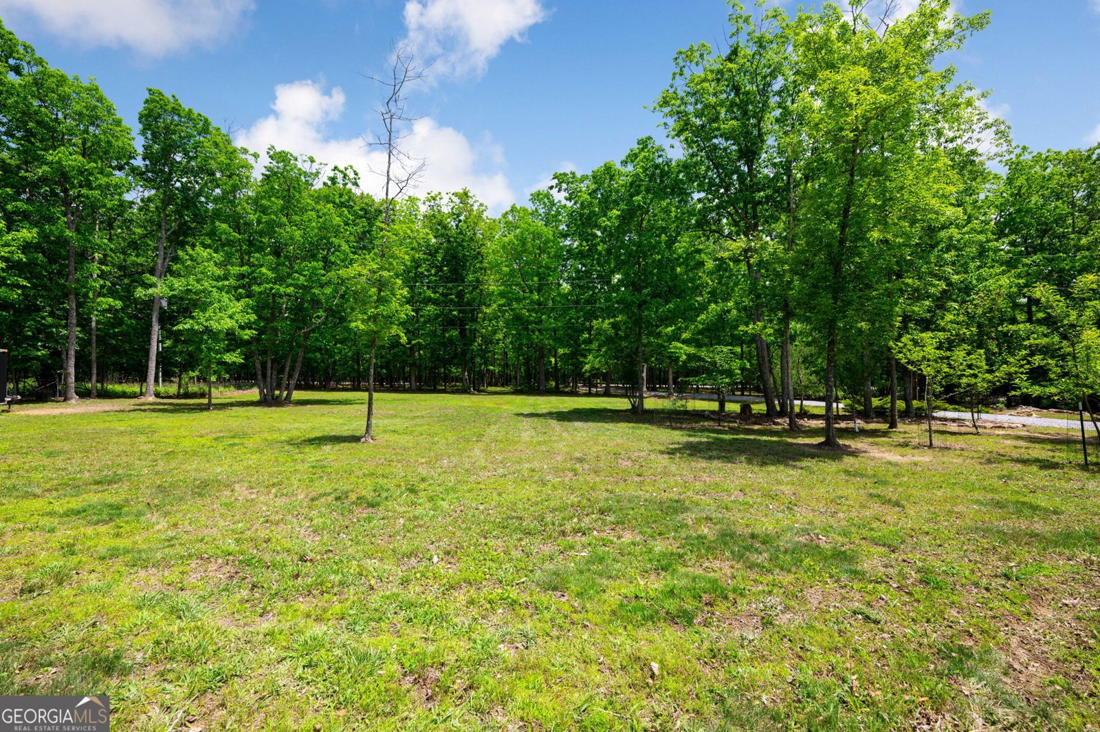 3099 Sunset Drive Rising Fawn - Photo 65