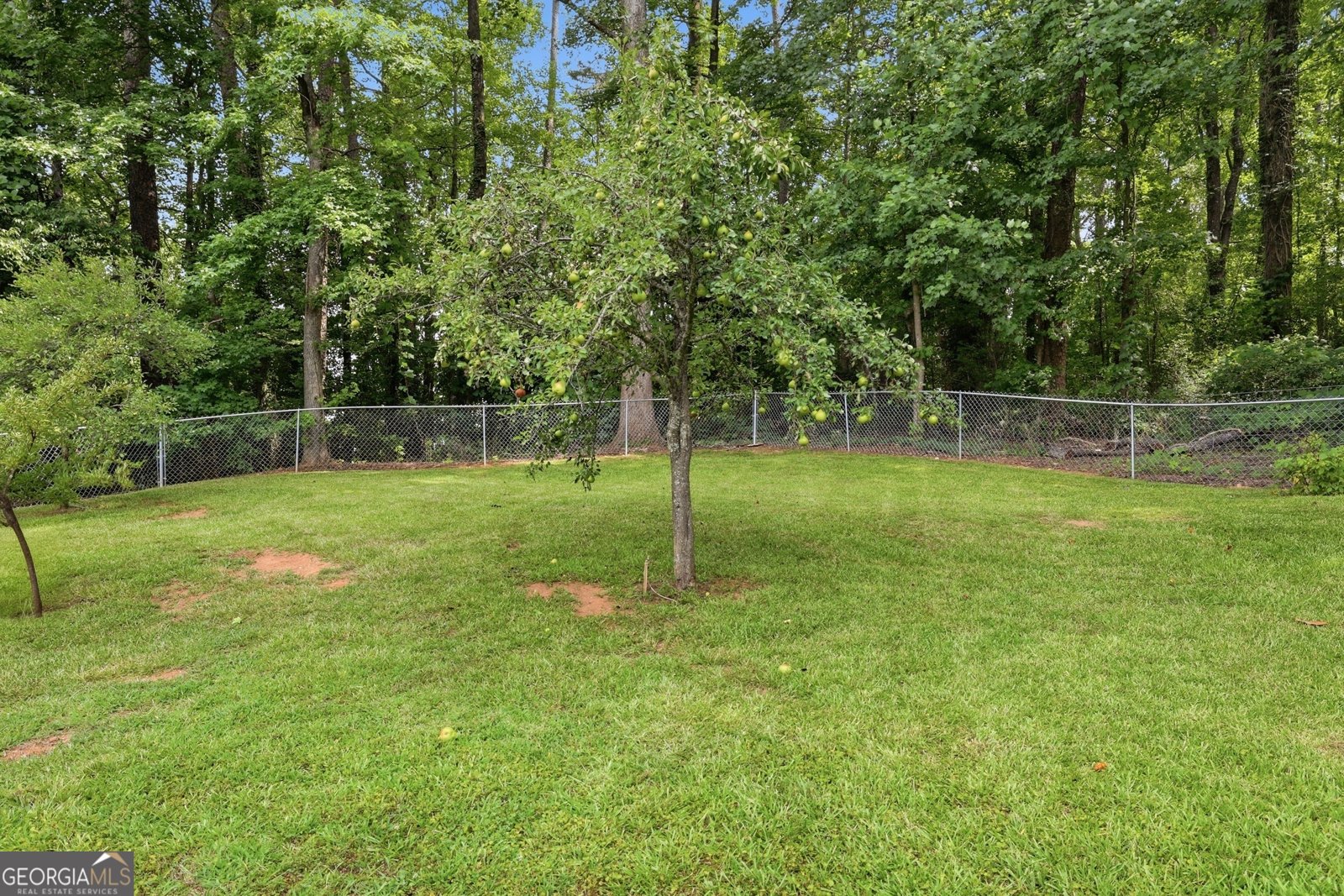 980 Falls Road Toccoa - Photo 50