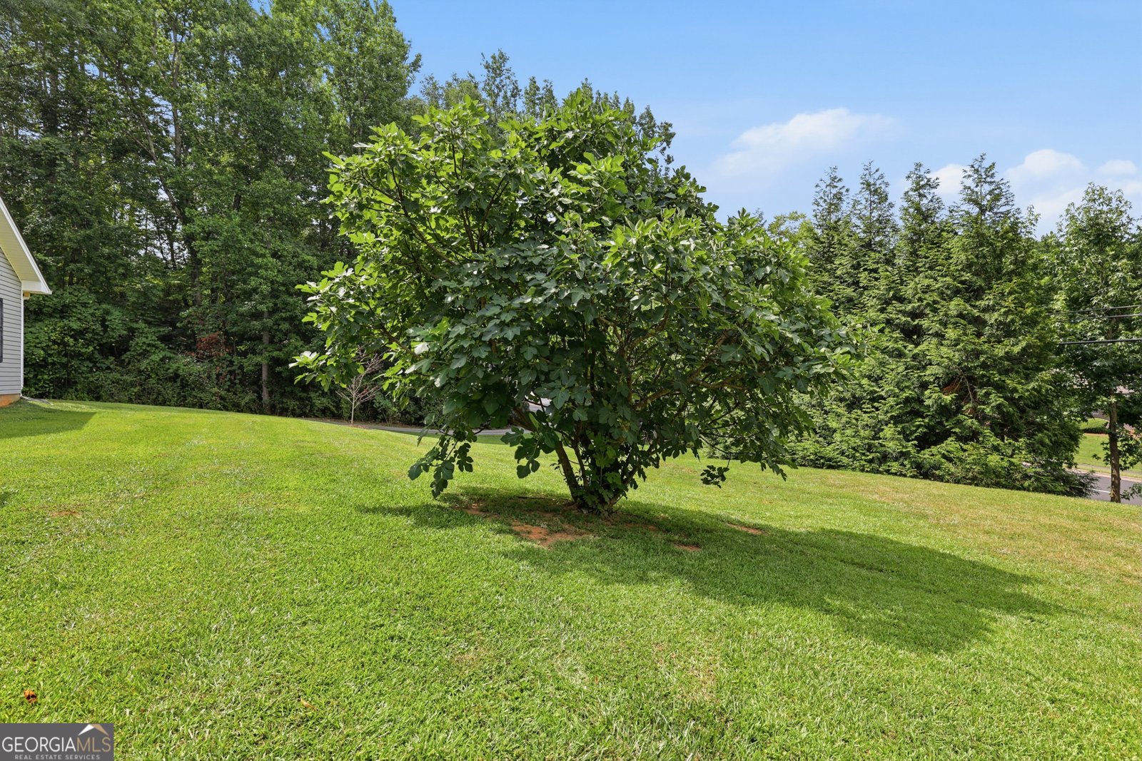 980 Falls Road Toccoa - Photo 55