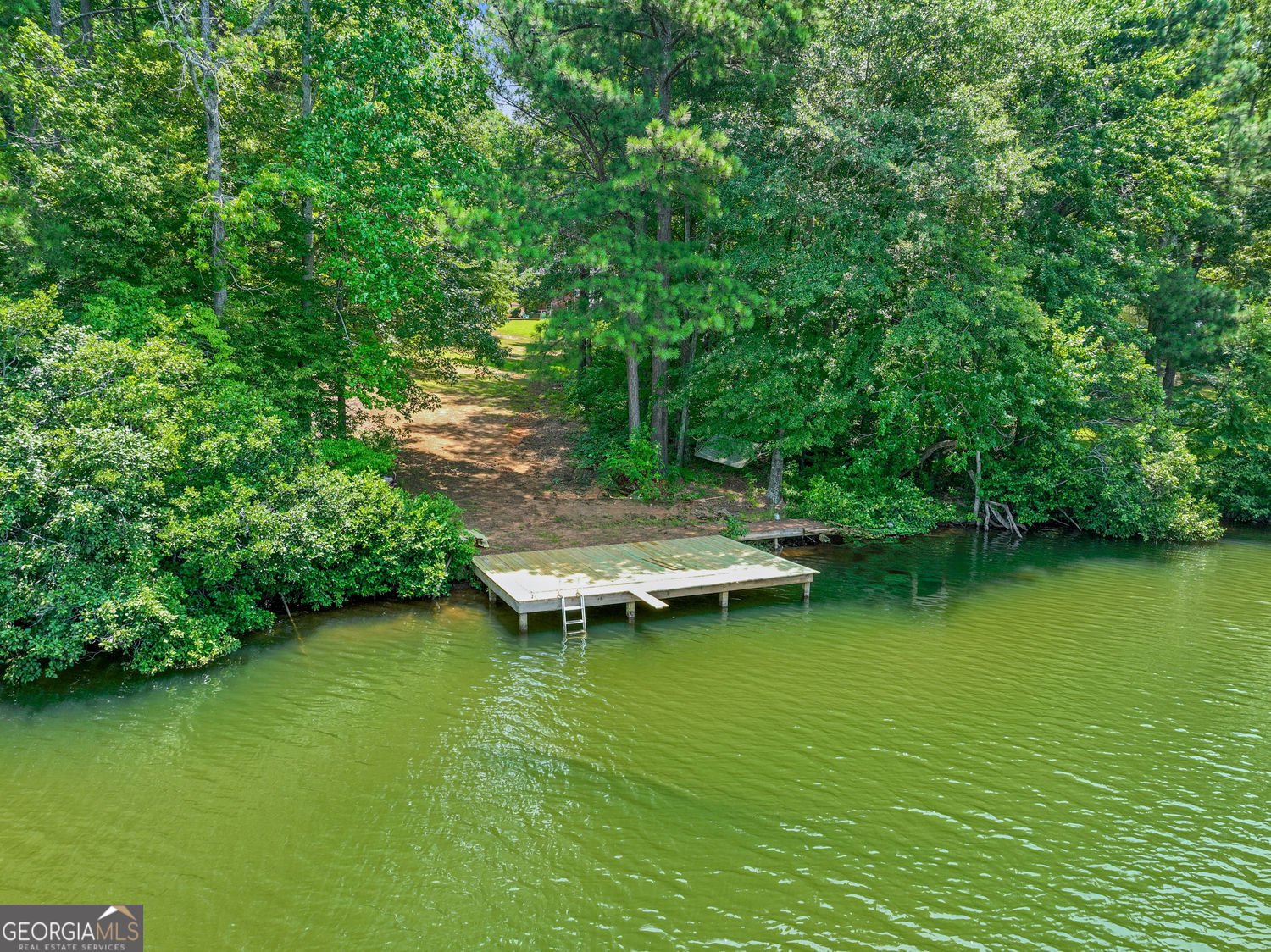 315 Monroe Drive McDonough - Photo 33