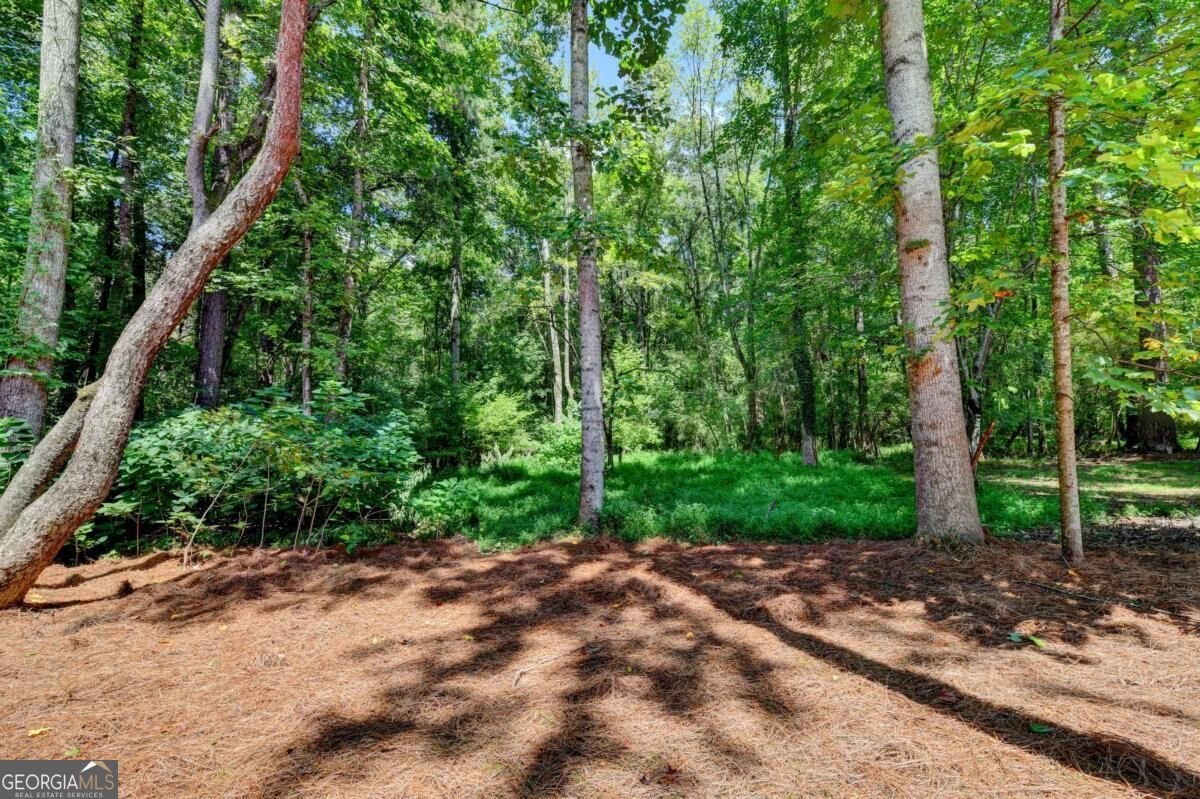4860 Haydens Walk Drive Johns Creek - Photo 84