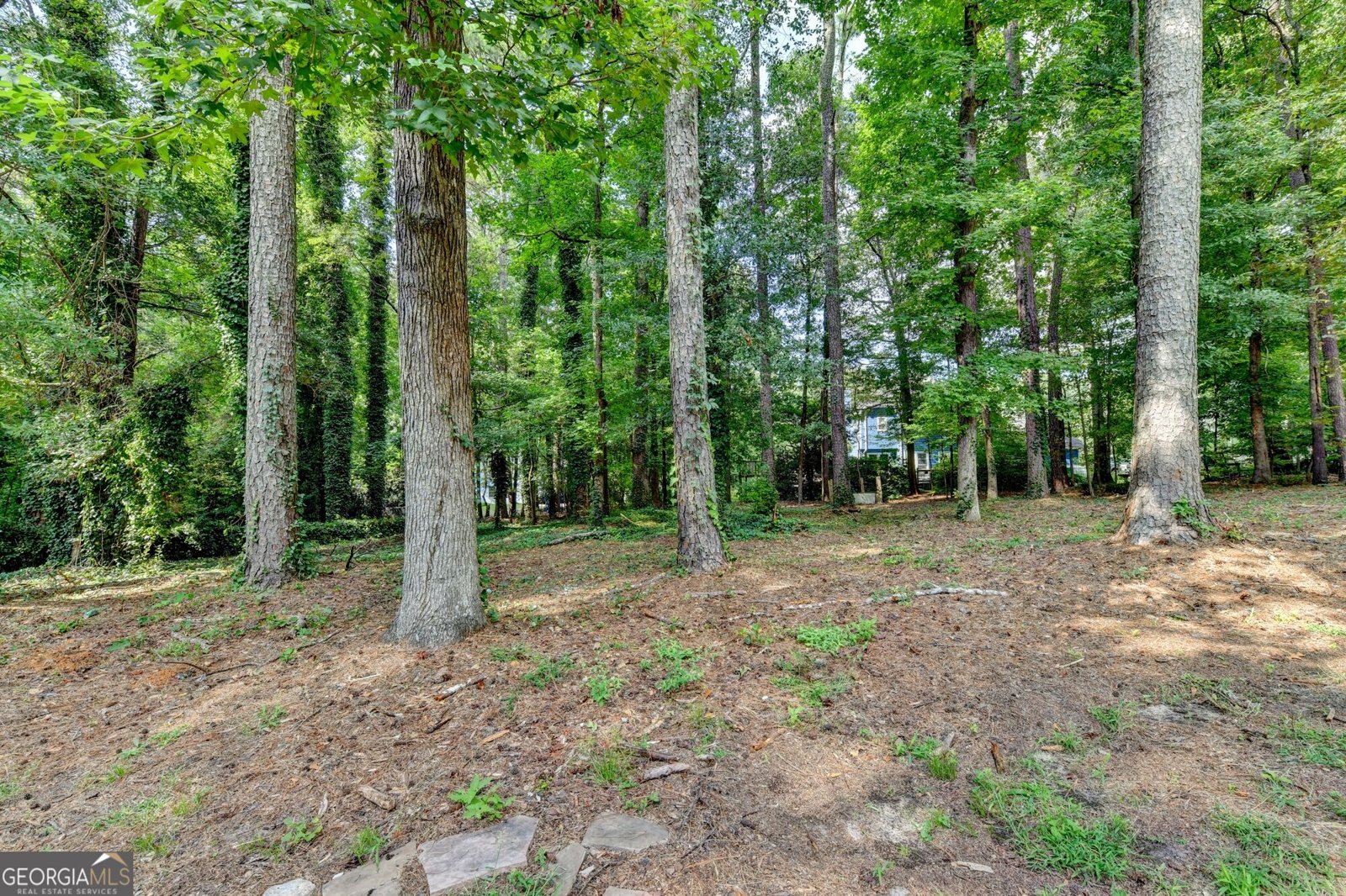 1921 Shady Creek Lane Lawrenceville - Photo 38