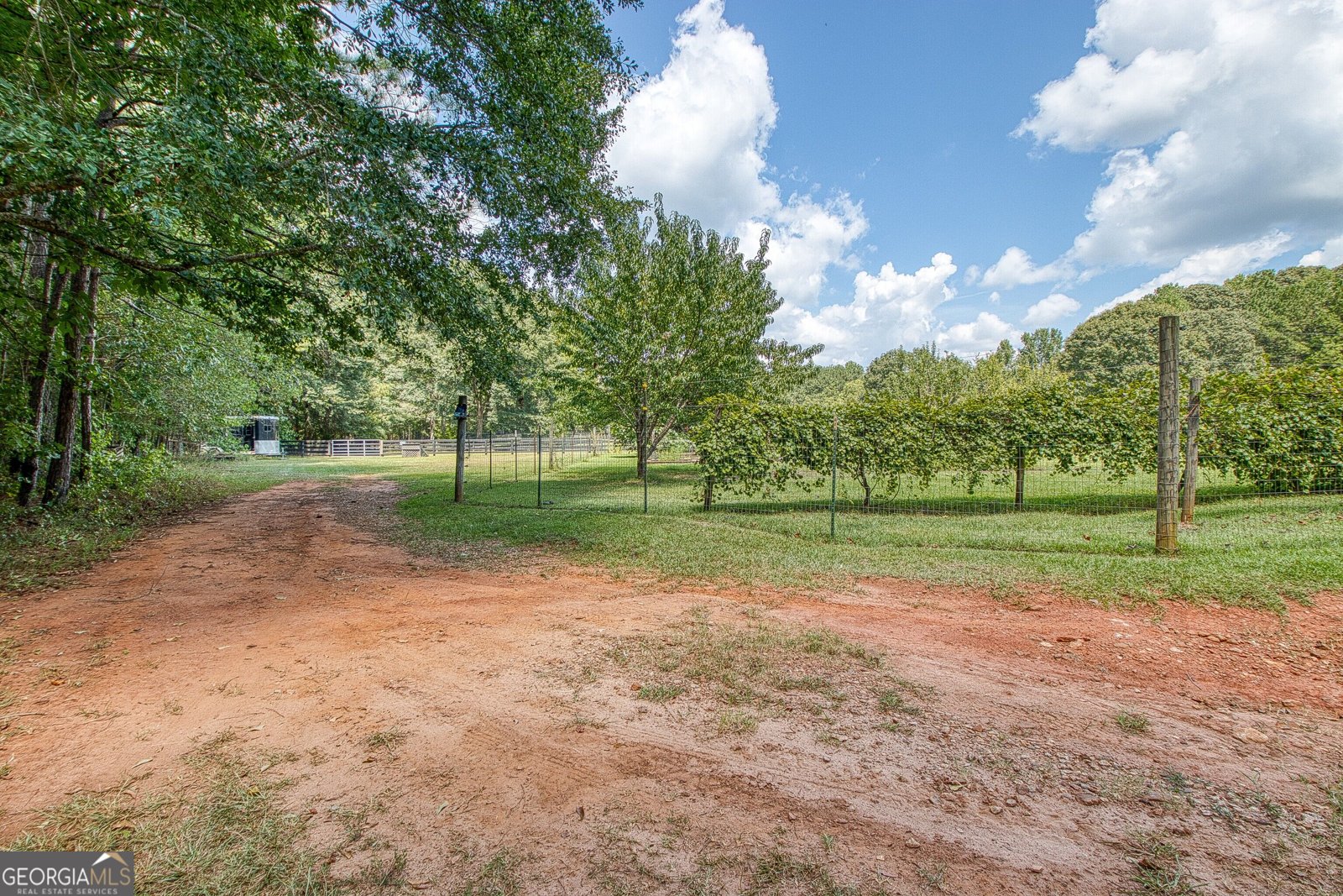 792 Fincher Road Moreland - Photo 109