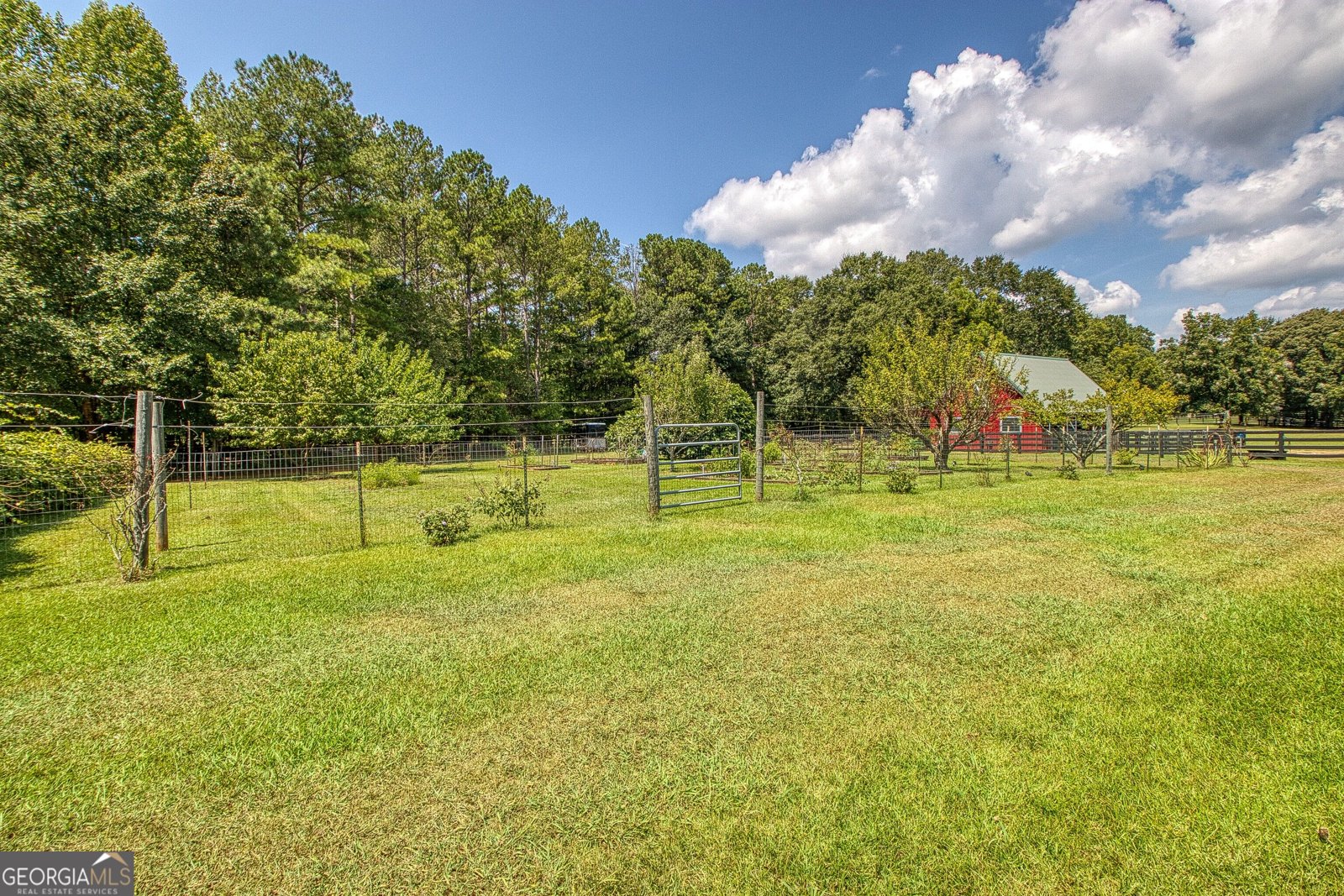 792 Fincher Road Moreland - Photo 91