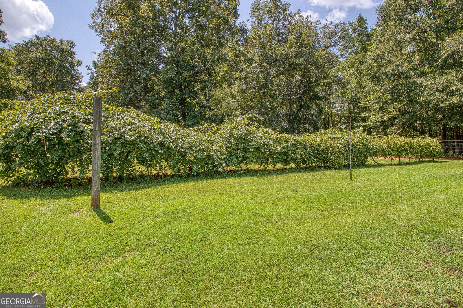 792 Fincher Road Moreland - Photo 92