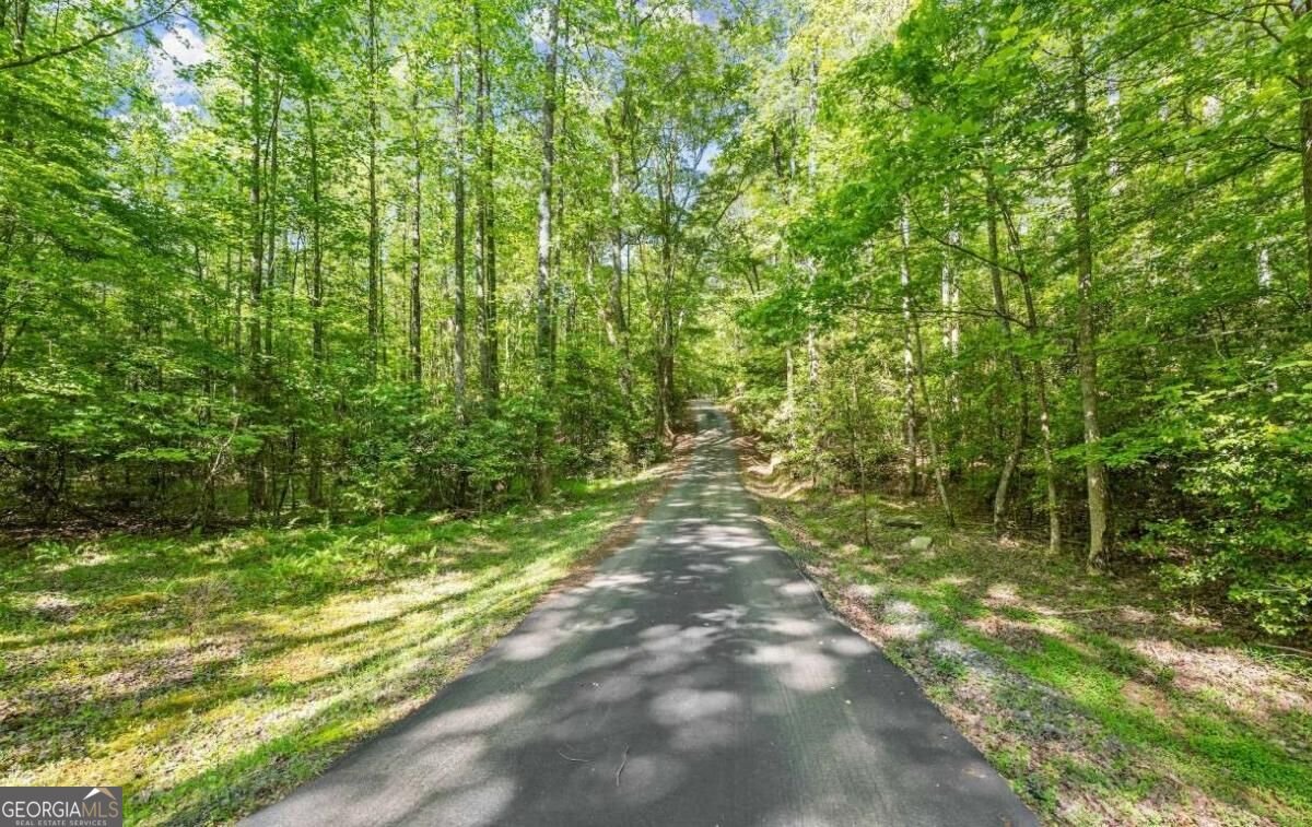 2239 Dean Mountain Road Cleveland - Photo 55