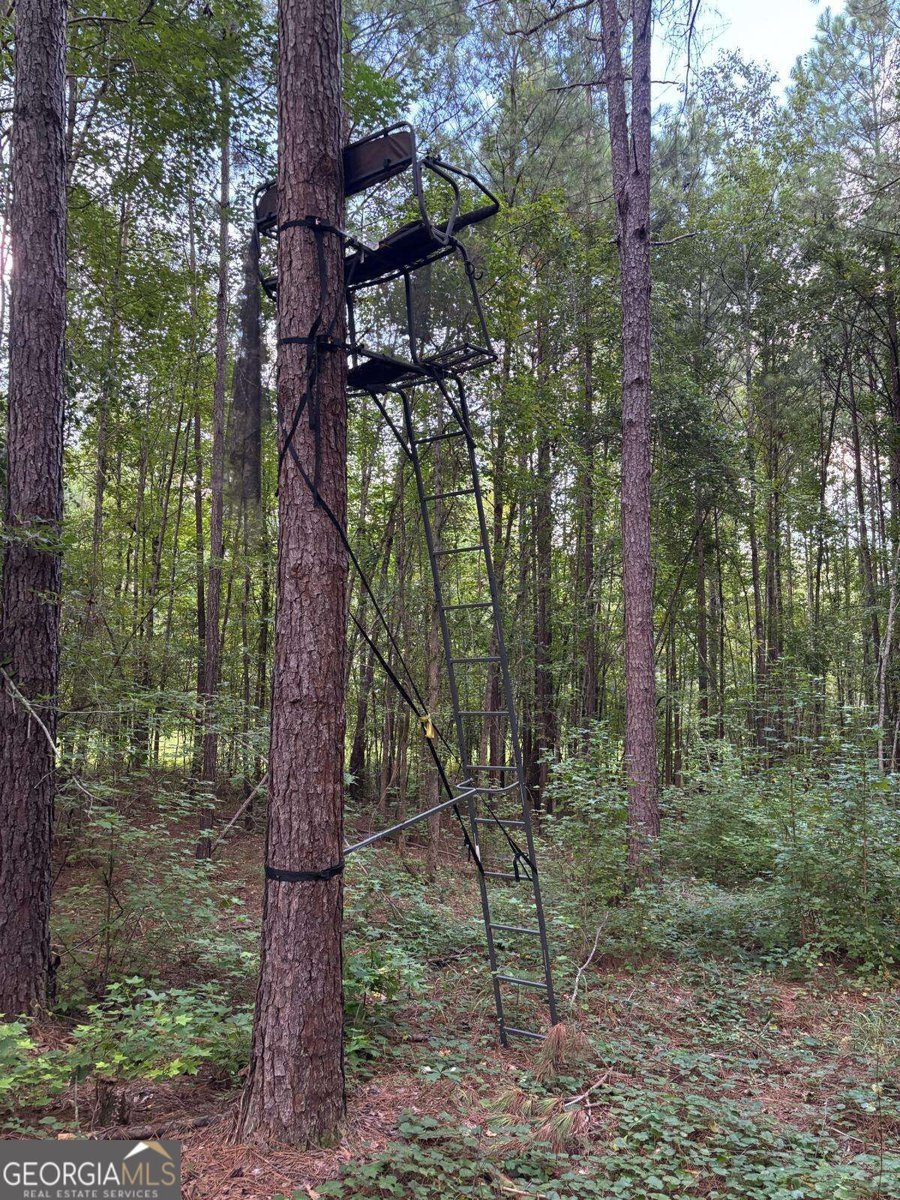 873 Oconee Forest Road Monticello - Photo 31