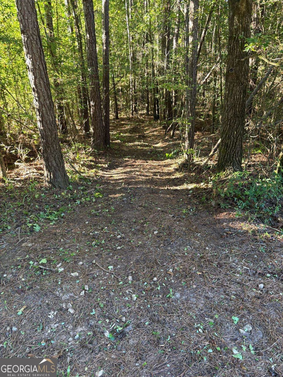873 Oconee Forest Road Monticello - Photo 32