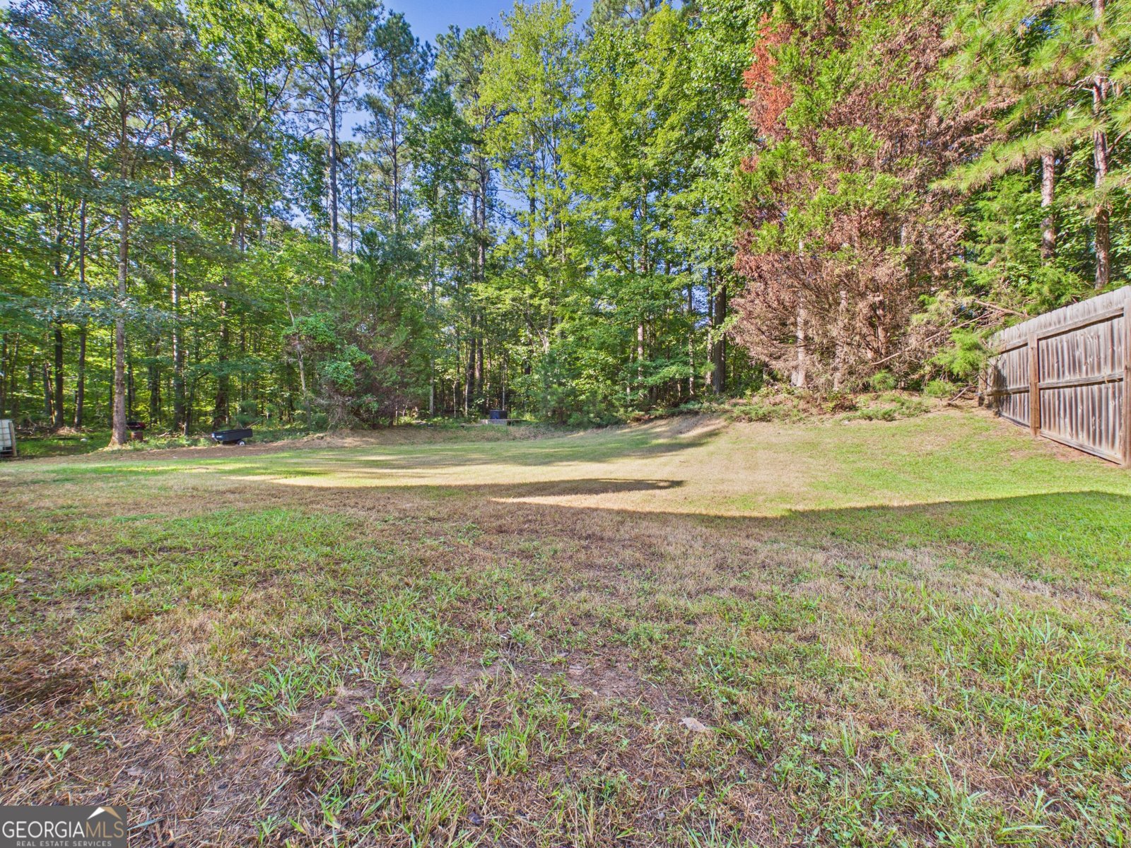 75 Lauren Overlook Newnan - Photo 36