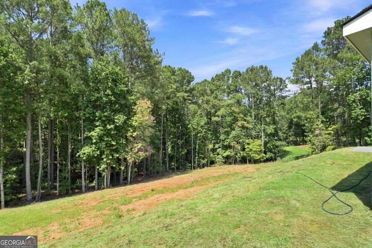 381 Bethel Road Talking Rock - Photo 38
