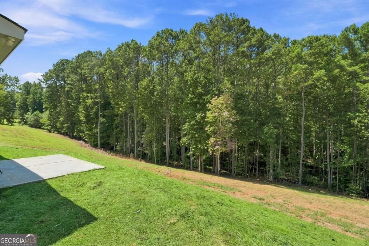 381 Bethel Road Talking Rock - Photo 39