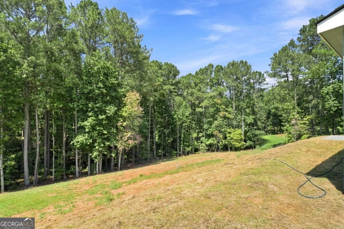 381 Bethel Road Talking Rock - Photo 49