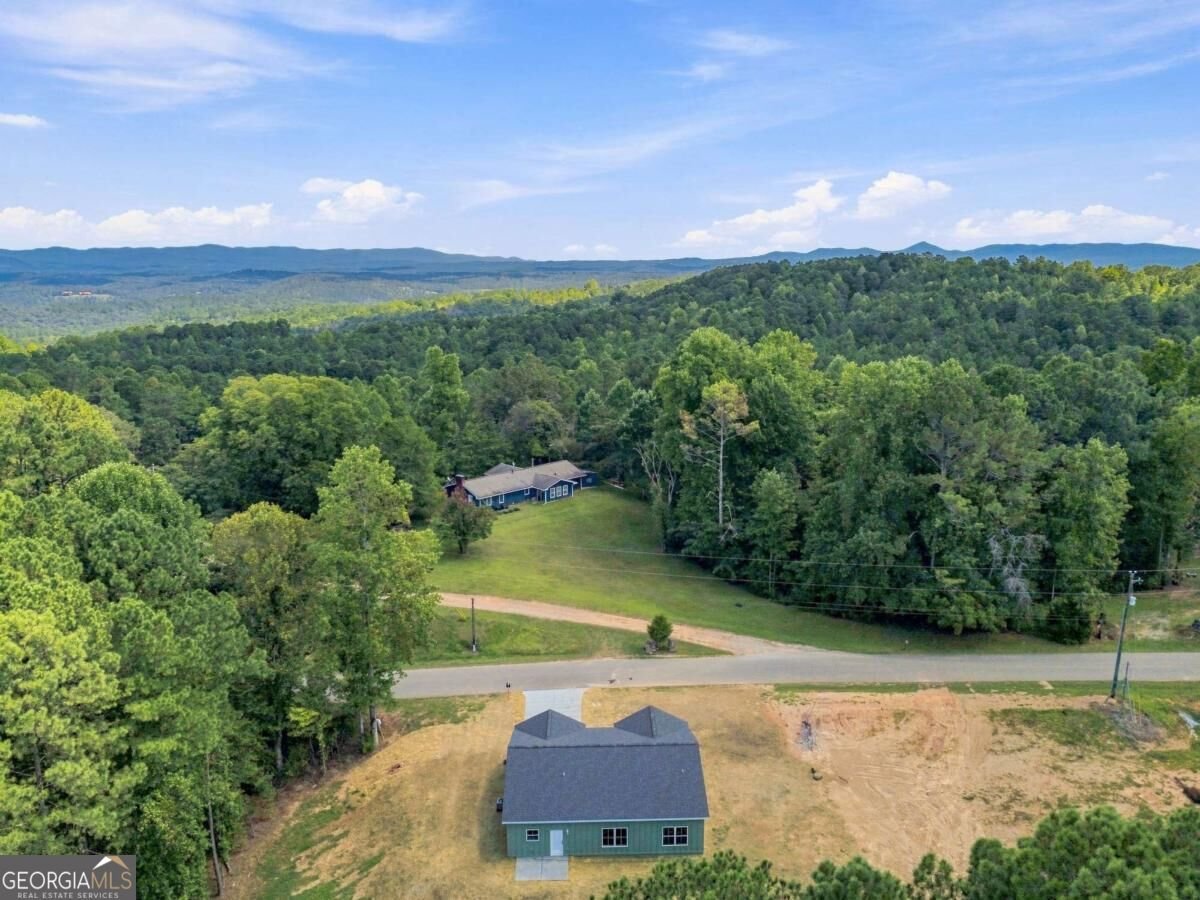 381 Bethel Road Talking Rock - Photo 60
