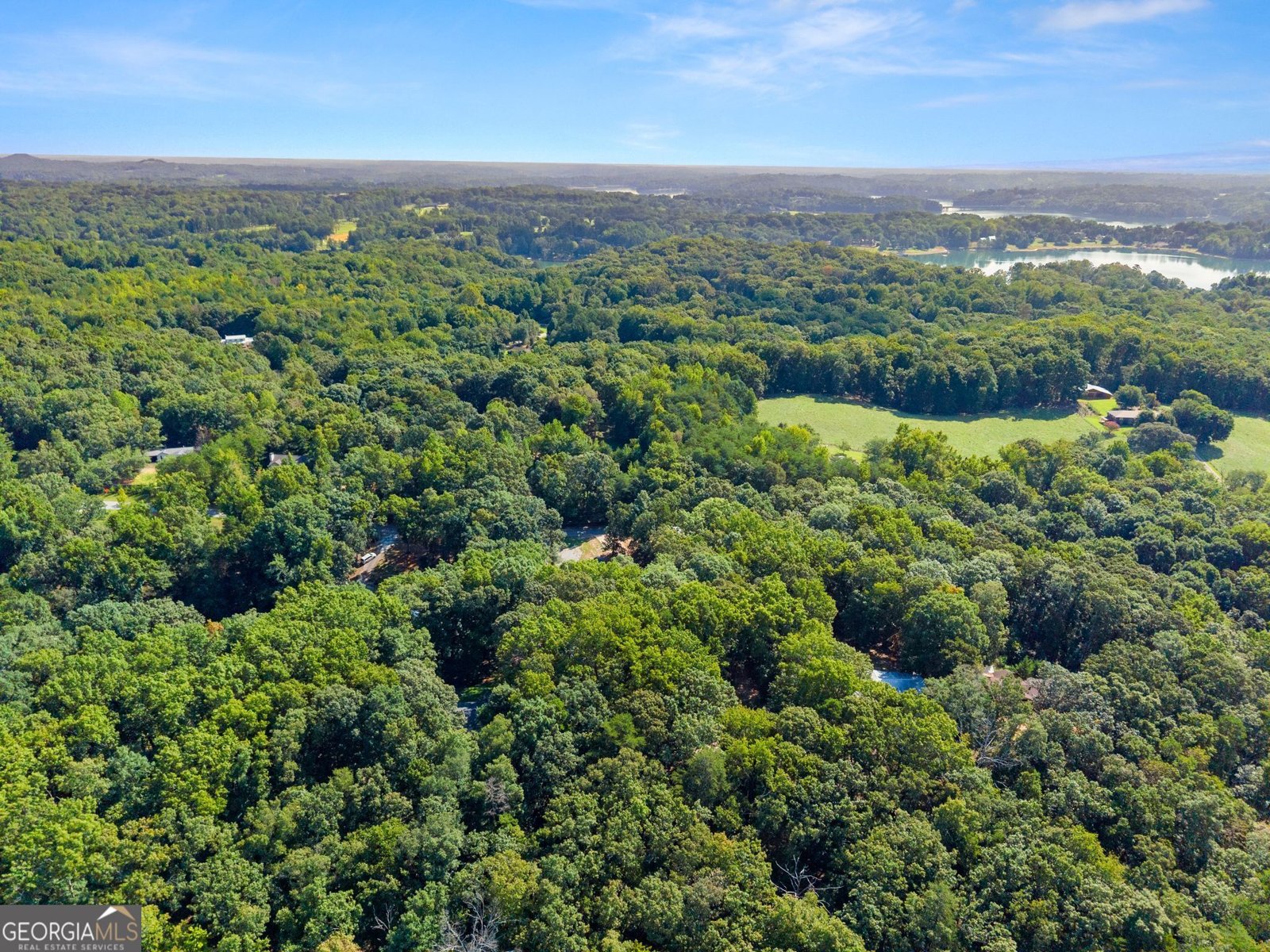3528 Looper Lake Road Gainesville - Photo 67