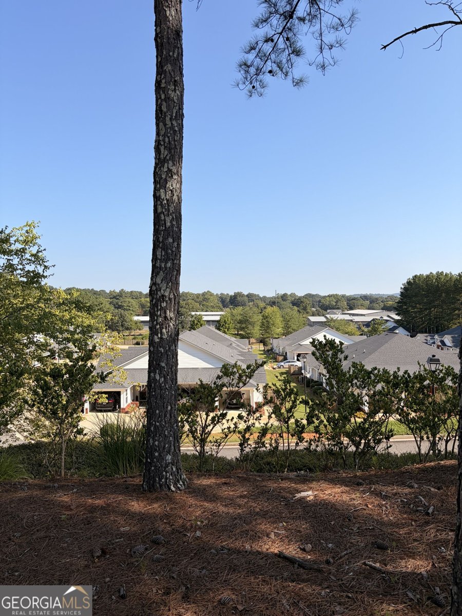 150 Old Mill Road Cartersville - Photo 6