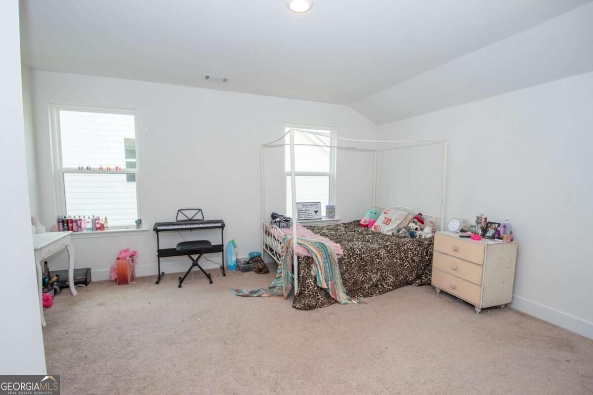 54 Airmont Drive Sharpsburg - Photo 24
