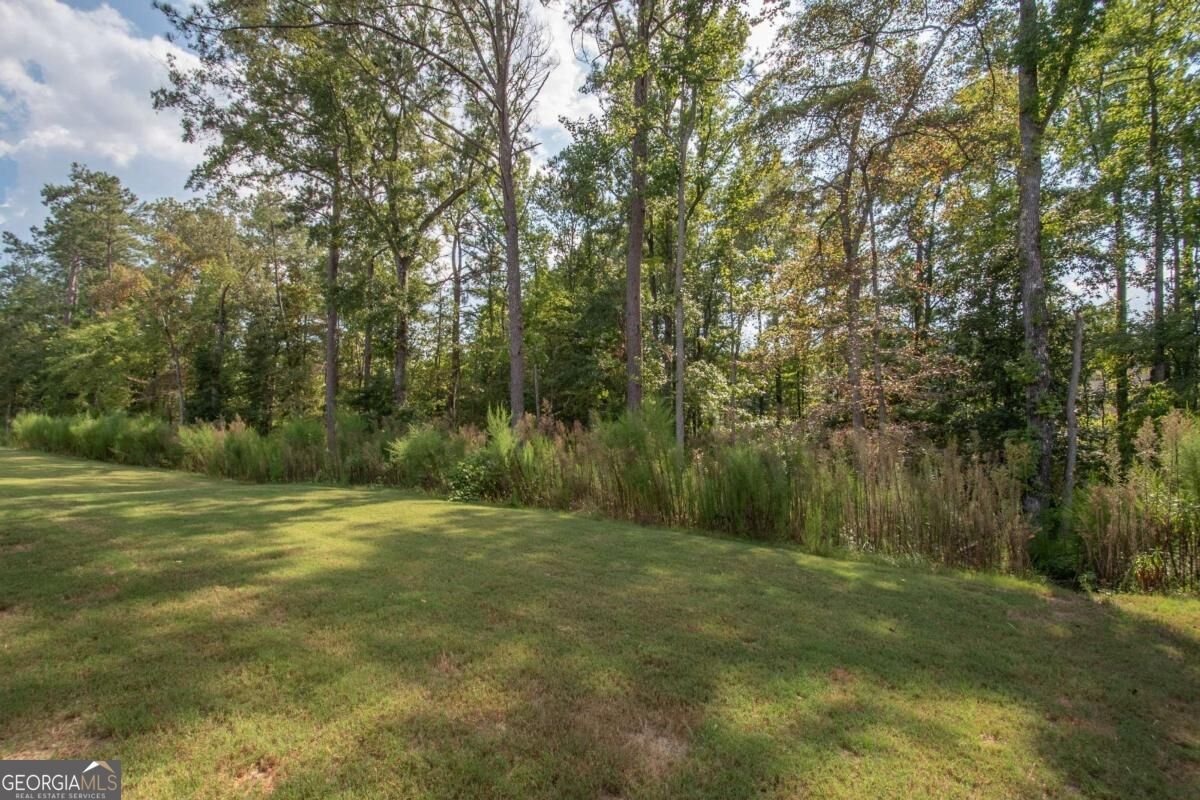 54 Airmont Drive Sharpsburg - Photo 30
