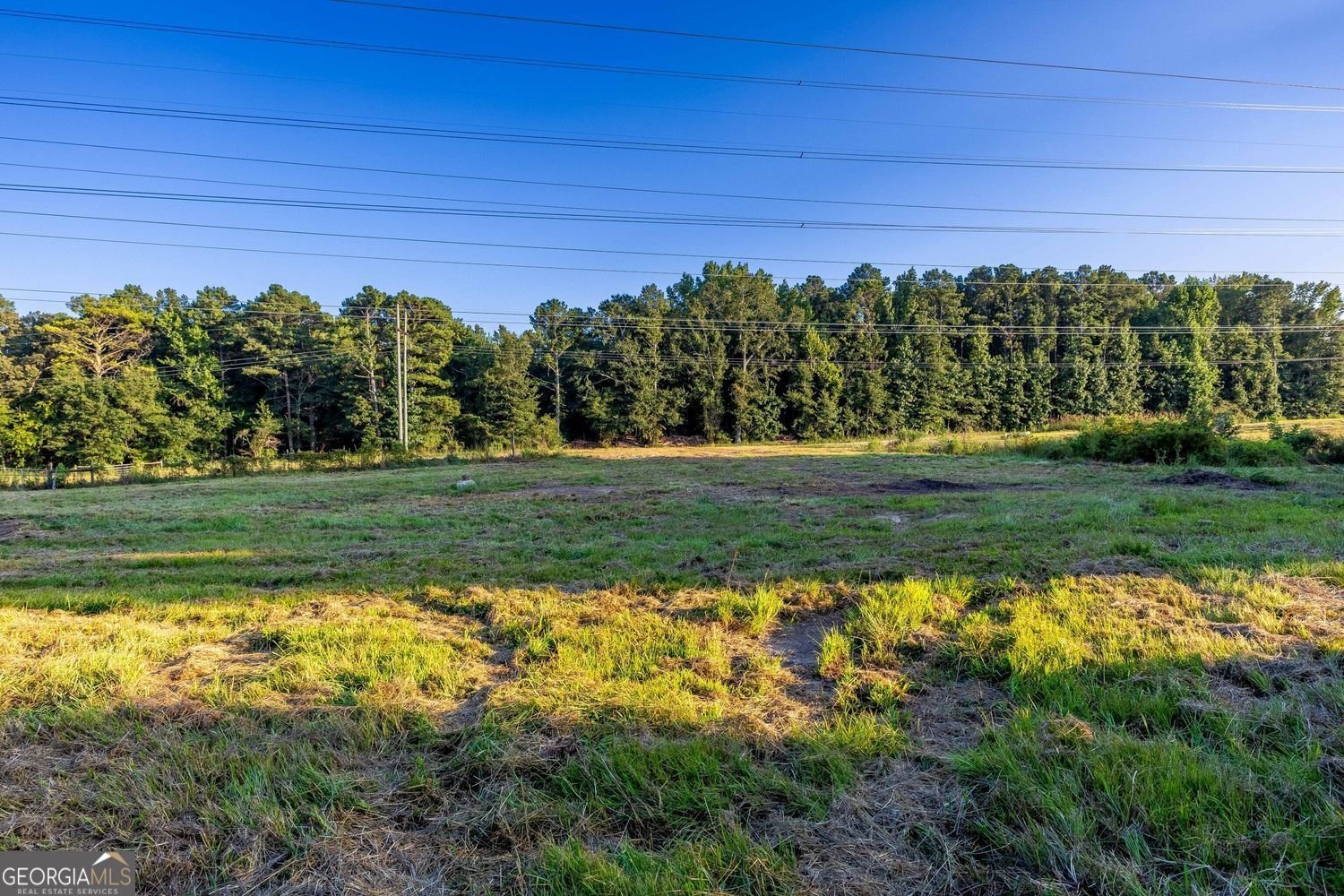 8410 Cleckler Road Palmetto - Photo 47
