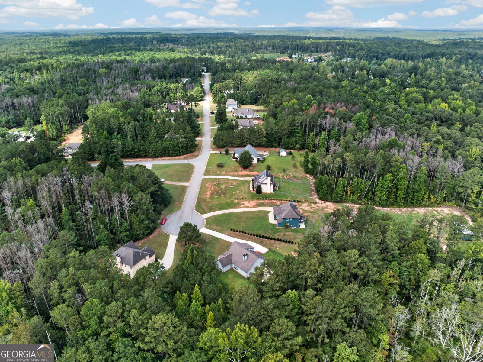 5 Carlow Court Newnan - Photo 58