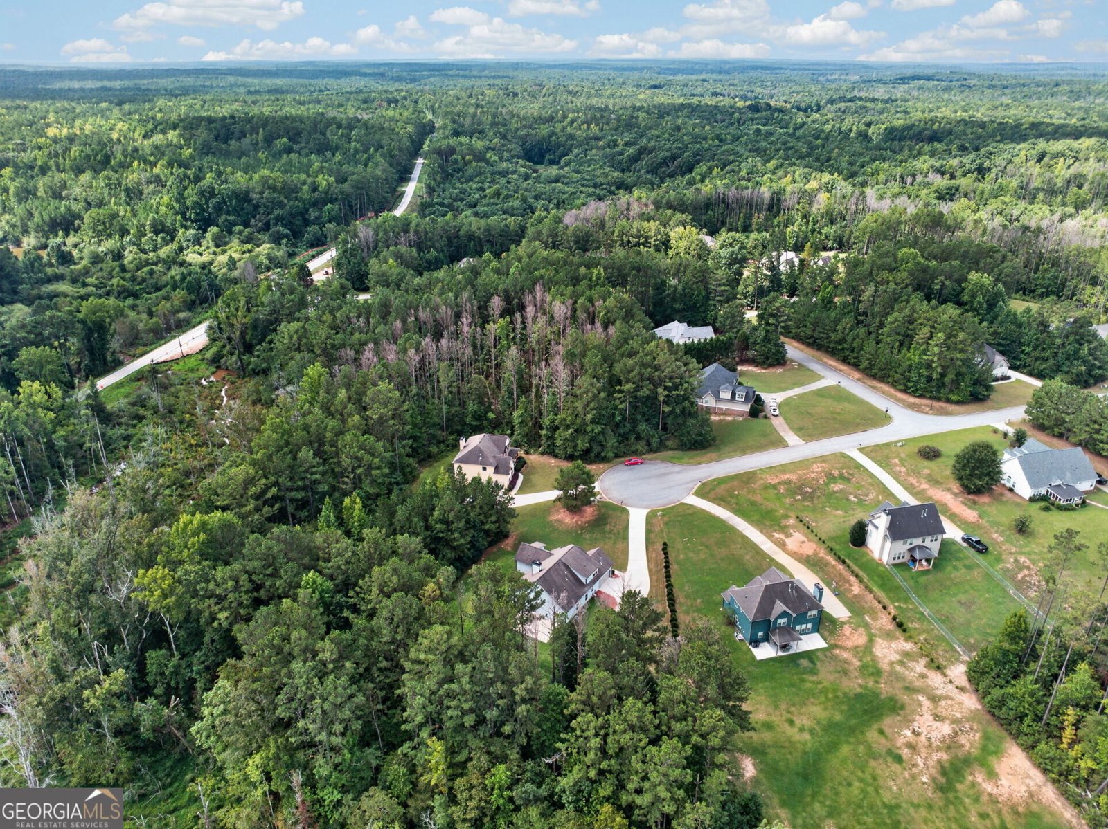 5 Carlow Court Newnan - Photo 59