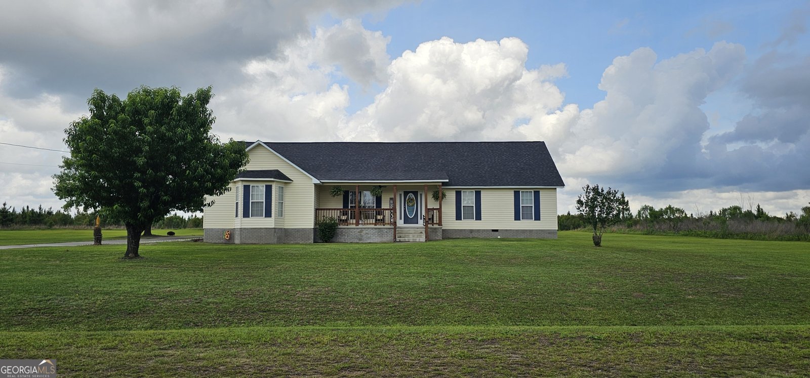 157 Scarlett Ohara Drive Ailey - main photo