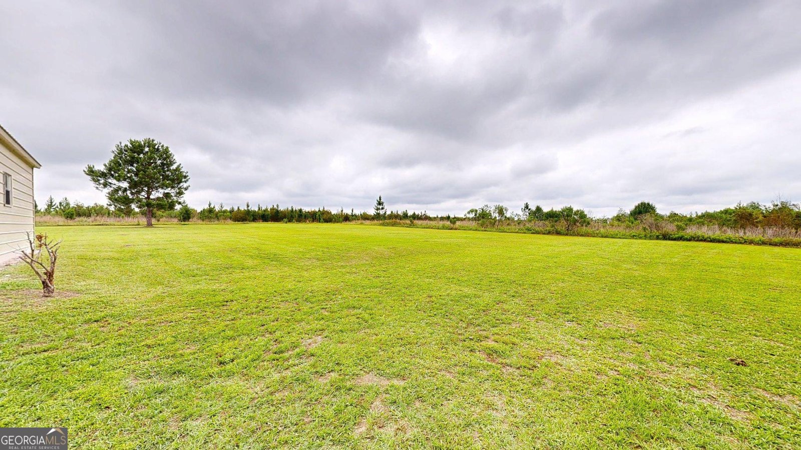 157 Scarlett Ohara Drive Ailey - Photo 8