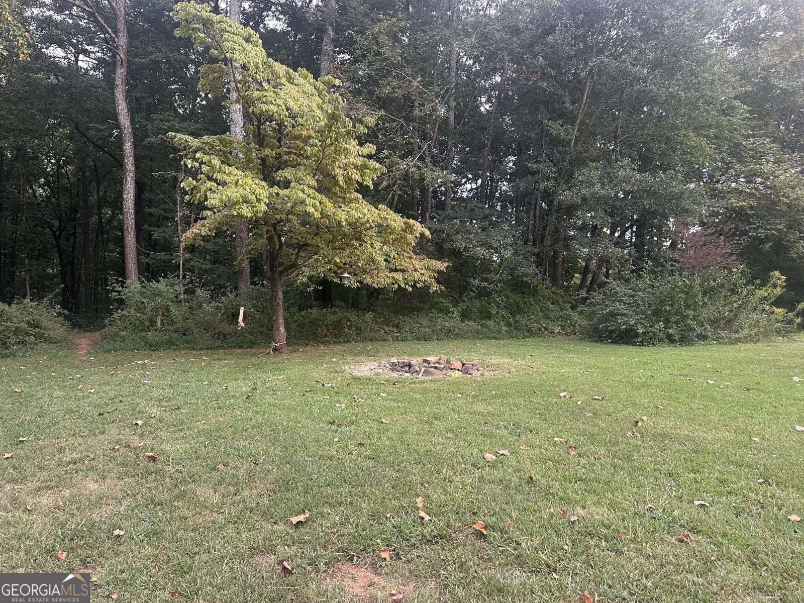 35 Collins Road Jasper - Photo 4