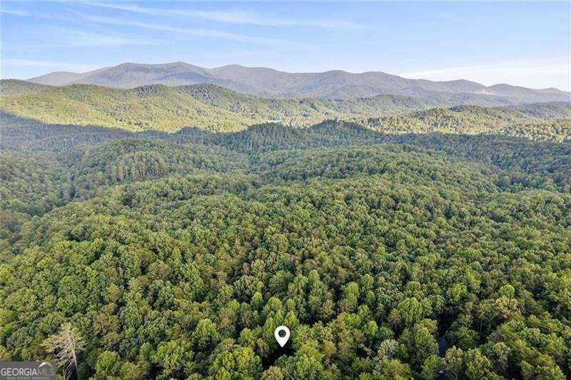 889 Granny Branch Drive Blue Ridge - Photo 39