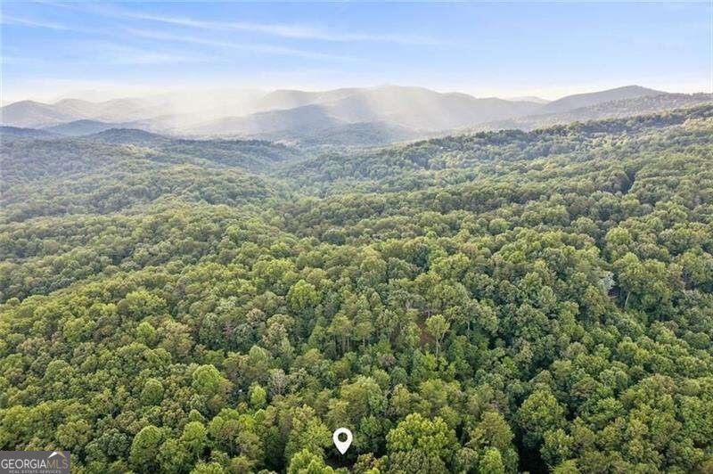 889 Granny Branch Drive Blue Ridge - Photo 41